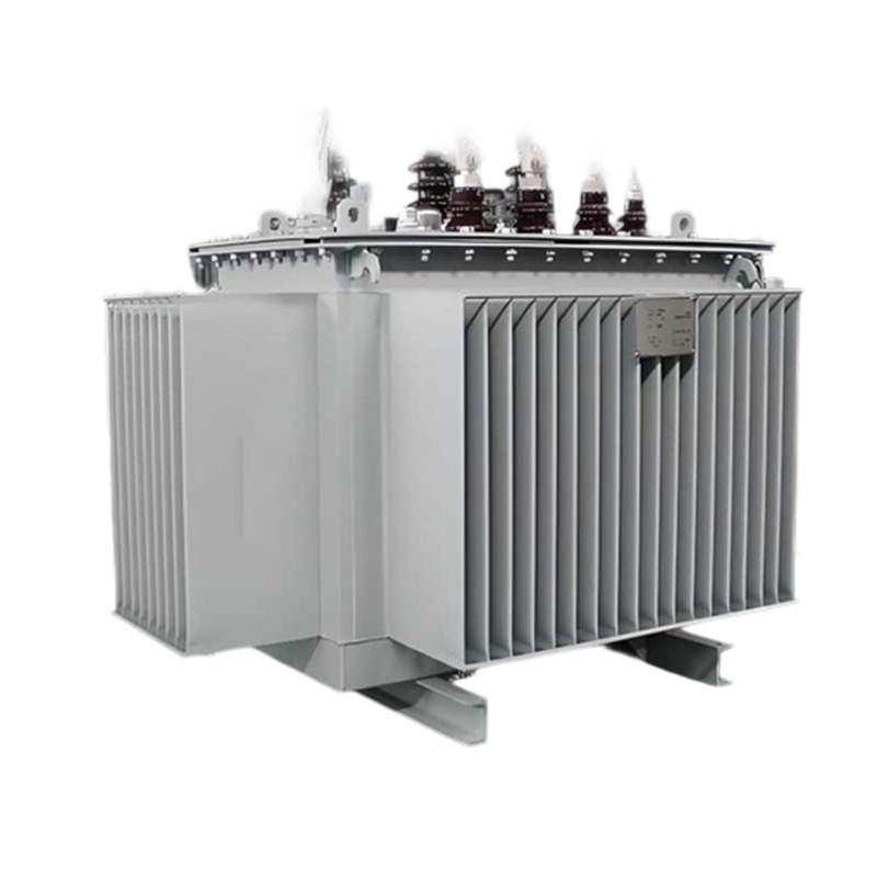 Oil Immersed Type Transformer